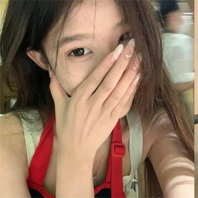 美国派2